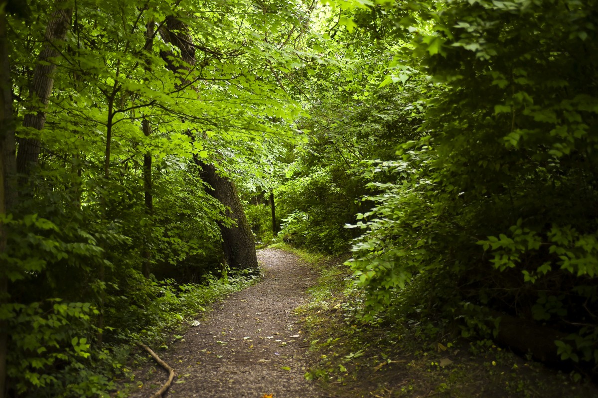 Monongalia County hires planning director, will initiate efforts on trail network